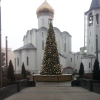 Новогодняя елка на Белой площади :: Владимир Прокофьев