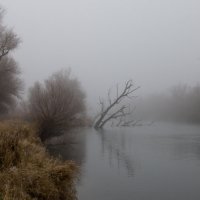Туман на реке :: Валерий Тёсса