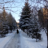 Зимний Новосибирский парк :: Oili Karpova