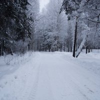 зимняя дорога :: Дмтрий 