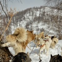 И не остановиться! И не сменить ноги! :: Алексей (АСкет) Степанов