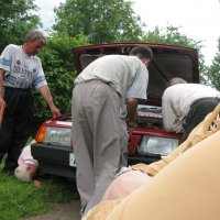 Экспертиза :: зарубин дмитрий 