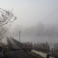Туманное утро :: Ольга Семенова