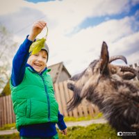 Поездка в деревню :: Михаил Кучеров