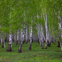 Однажды летом :: Александр 