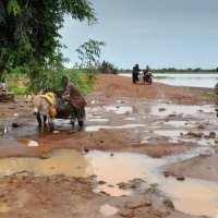 Сезон  дождей в Буркина-Фасо :: Юрий Матвеев