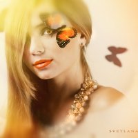 Butterfly :: Svetlana Shaffer Шафнер