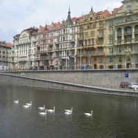 Прага :: галина лопарева