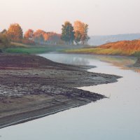 Морозная осень,туманная осень... :: Мария Парамонова