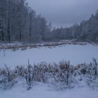 Начало зимы :: Борис Панков