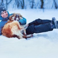 Зимние игры с Солнышком :: Алена Бадамшина