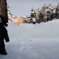 Февральский снег :: Марина Дьяченко