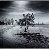 Красота одинокого :: Ayrat Abzalov
