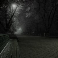Туманный вечер в парке :: Виталий Павлов