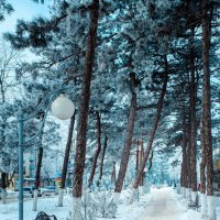 Два снежных дня :: Дмитрий Катин