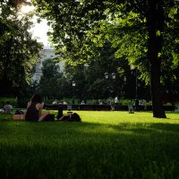 зеленый ковер в Александровском саду :: Владимир Гулевич