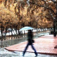 Осенний дождь :: Сергей Елесин