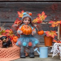 Кукольная осень :: Екатерина Камерилова 