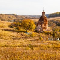 Последняя осень? :: Андрей Родионов 