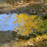 Зеркало Осени :: Надежда 