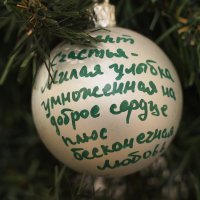 Новогоднее пожелание на елке в ЗАГСе :: Сергей Михальченко