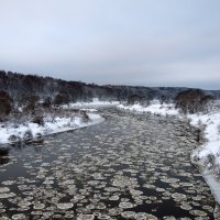 Шугоход на реке Угра :: Владимир Щеглов