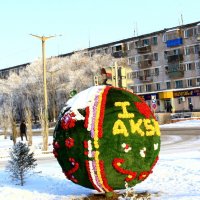 Цветной шар :: Владимир Шешуков