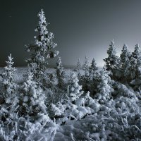 Ночь в лесотундре :: Сергей Чарушин
