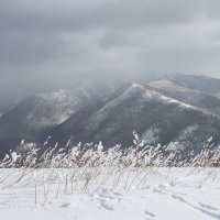 вид с горы Московской о.Сахалин :: Наталья Литвинчук