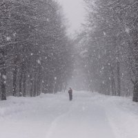 Снегопад :: Дмитрий 