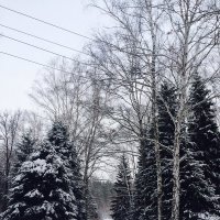 Дорога в зиму :: Ангелина 