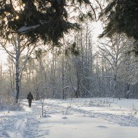 *** :: Владимир Мальцев