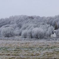 ... :: Лидия Гордеева 