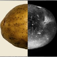 NGC. Asteroid potatoes :: Валерьян Бек (Хуснутдинов)