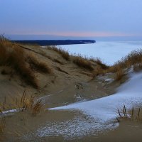холодный рассвет в дюнах :: Marina Torgashova