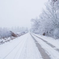 Дорога в зиму :: Леся Українка