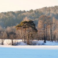 В лучах февральского утра. :: Анатолий Пашковский