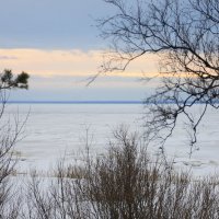 Белое море в январе :: Светлана Ку