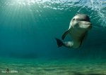24 октября: Travel-фотограф – работа мечты