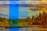 8 июля. Открытый онлайн-урок «Азы фотографии: баланс белого»