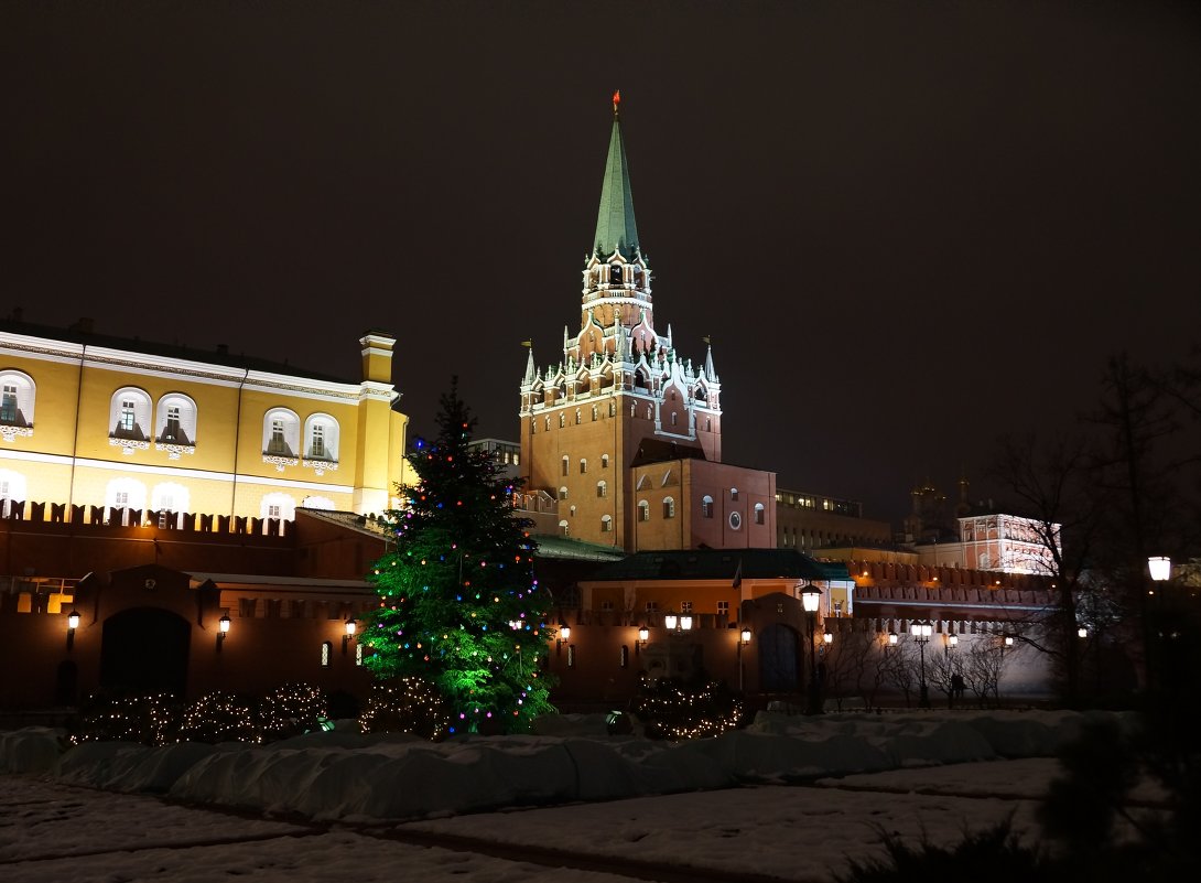 Предновогодняя Москва - Панова Ольга