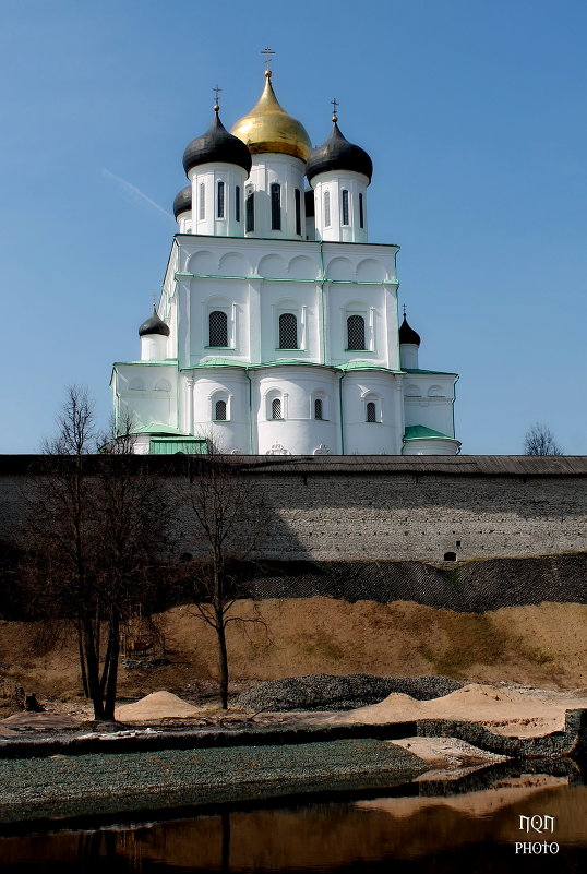 Псковский Кром - Темновест Болотный