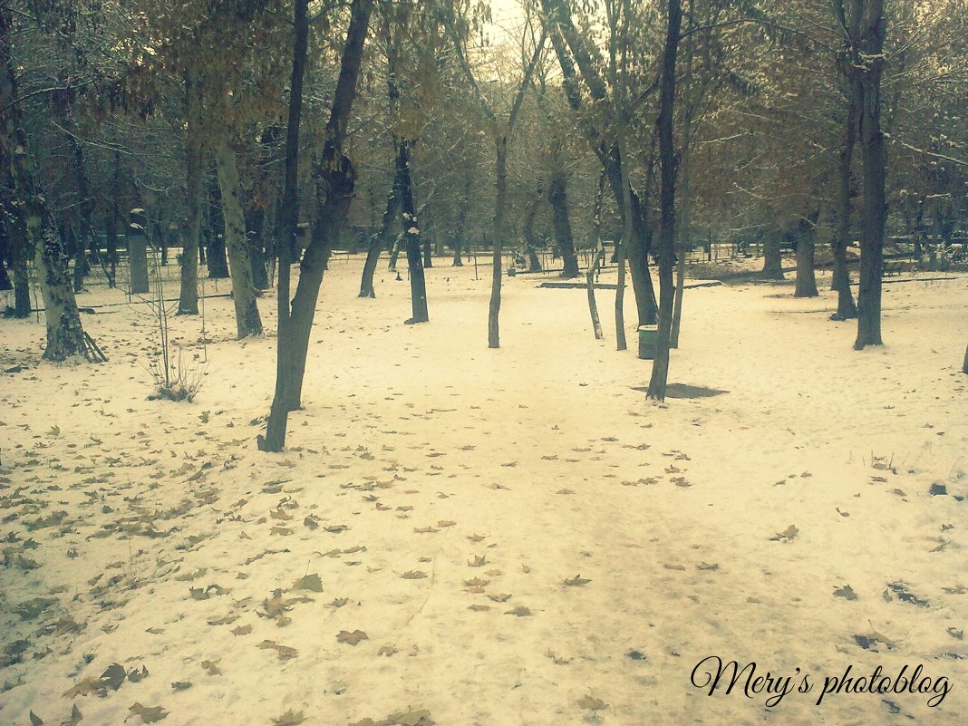 Winter - Mery 