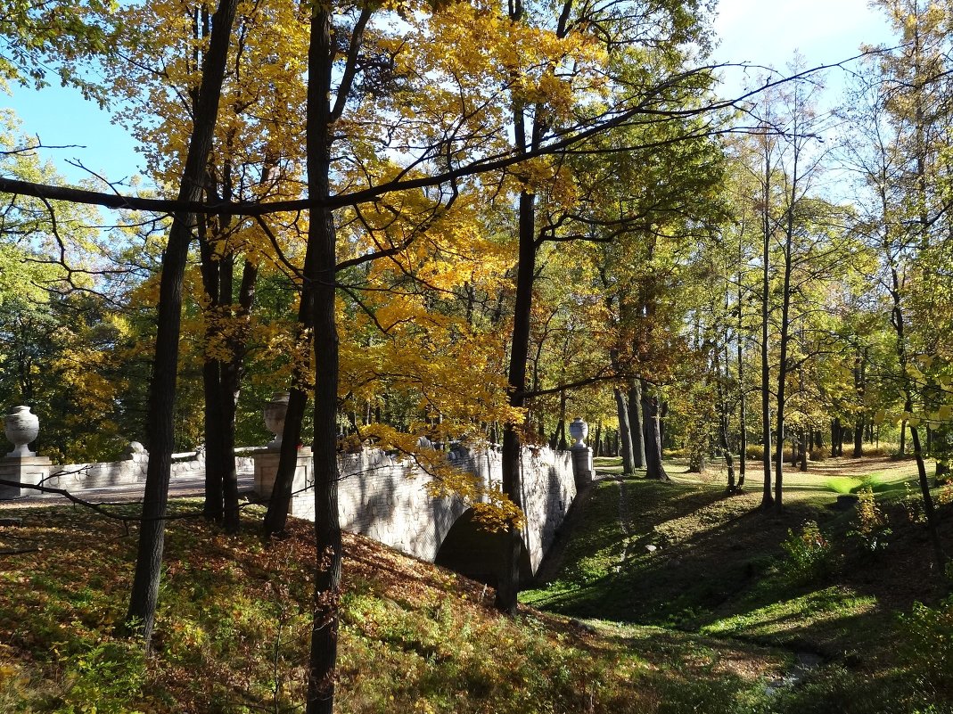 Осень в парке - Наталия Короткова