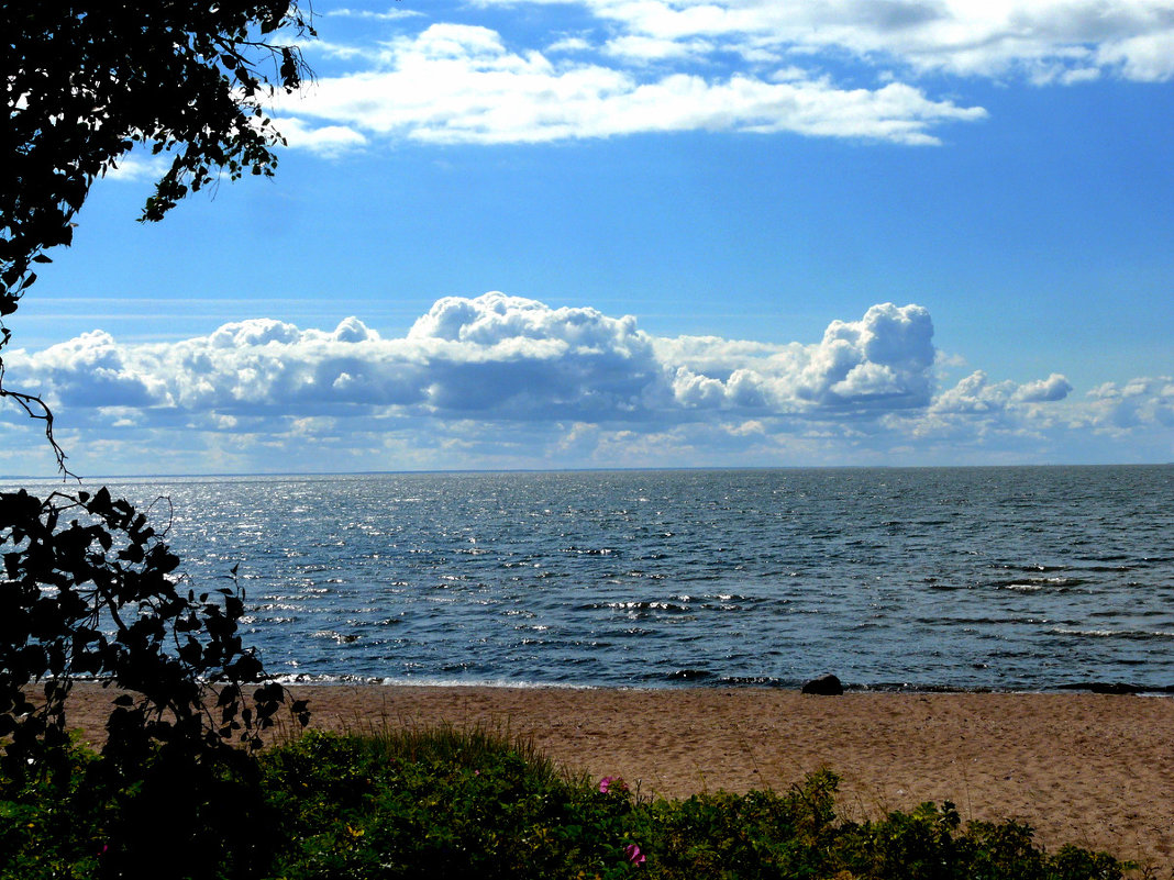 Балтийское море в Питере фото