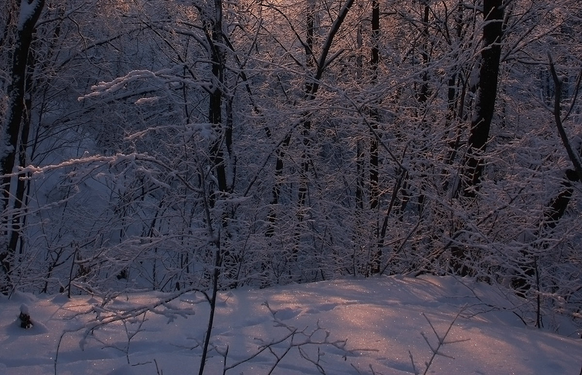 А вокруг расстилался широко белым саваном искристый снег... - Olenka 