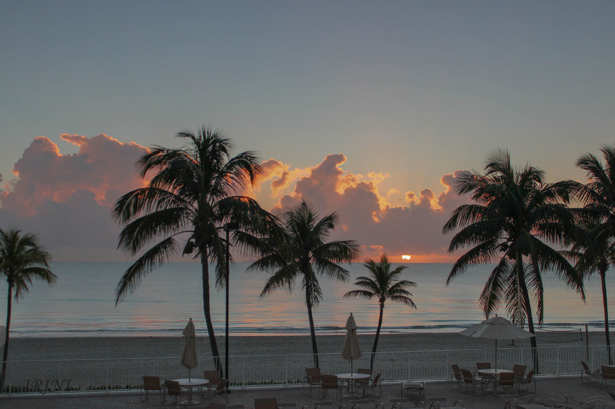 Florida. December. Sunrise. - Irini Pasi