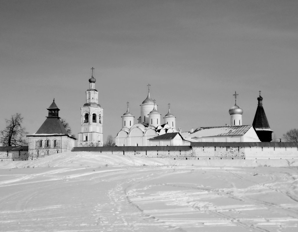 Спасо-Прилучкий монастырь - Владимир Ненартонис