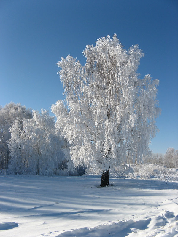 И снова зима - Геннадий Ячменев