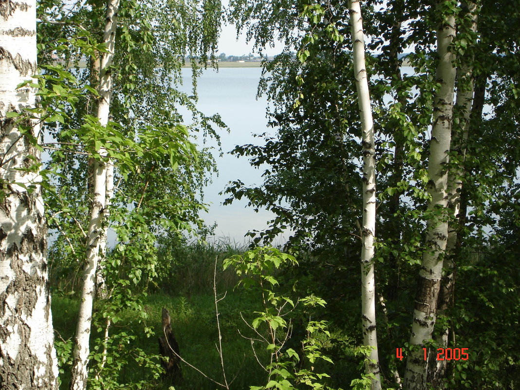 Озеро Снегтрево - Сергей 
